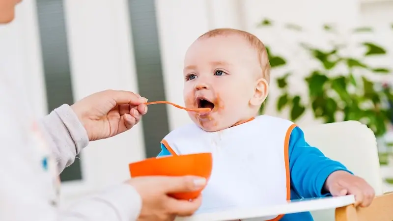 Nutri & Beyond Basic Needs for Eating PDF Guide