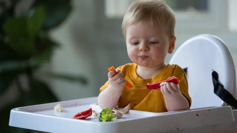 Nutri & Beyond Steps of Eating PDF Guide